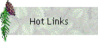 Hot Links