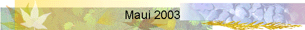 Maui 2003