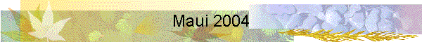 Maui 2004