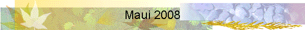 Maui 2008